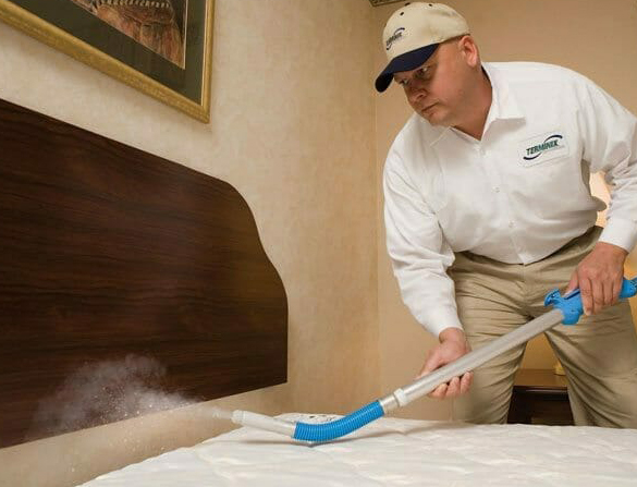 bed bugs control dammam