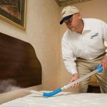 Bed bugs Control Dammam